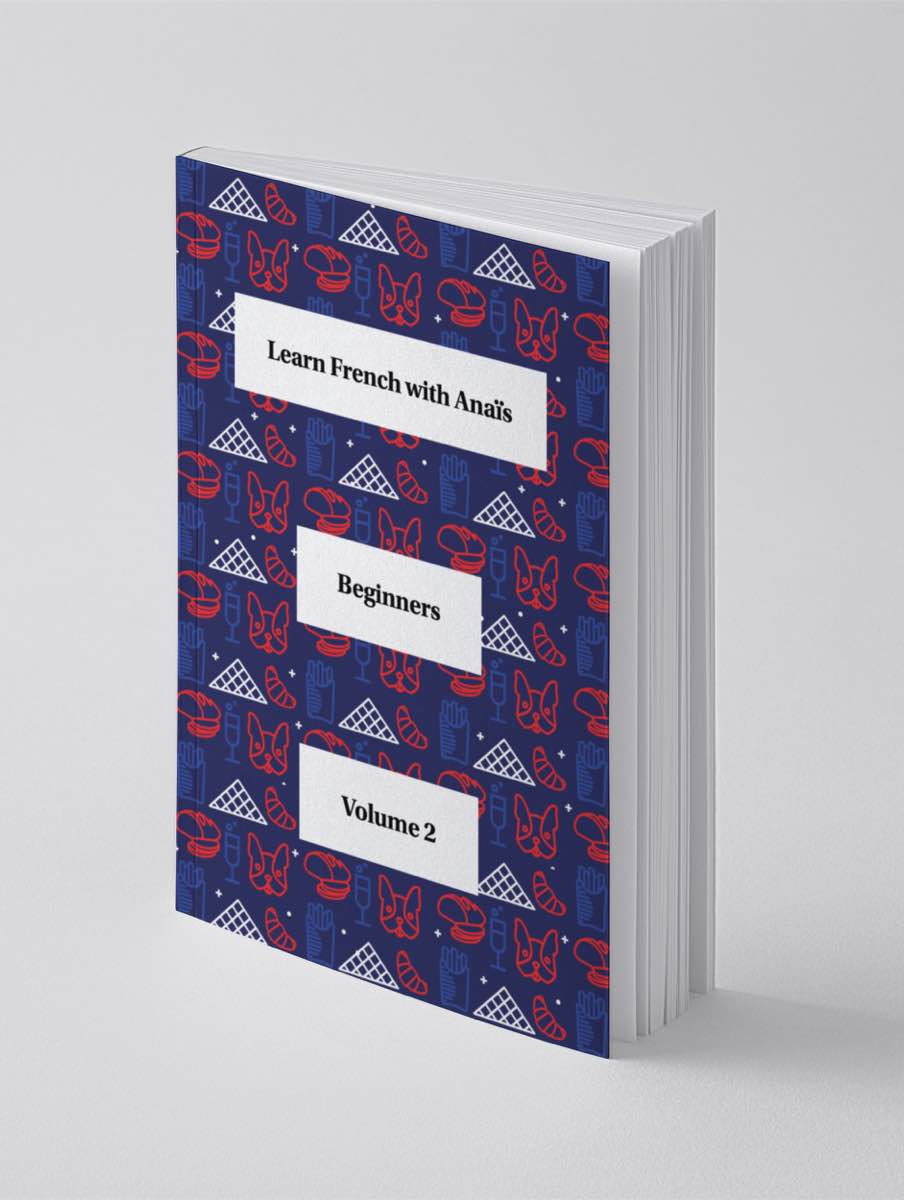 picture of the beginners book volume 2